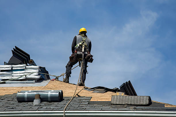 Professional Gutter Installation technician working in La Vergne, TN